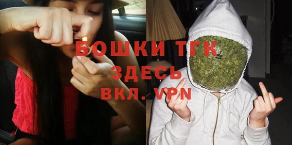 тгк Бородино