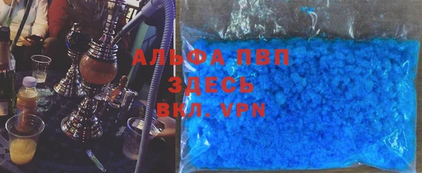 сатива Богданович
