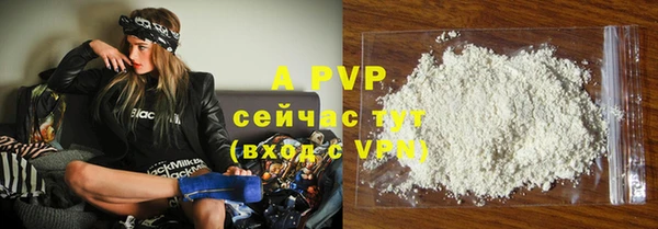 сатива Богданович
